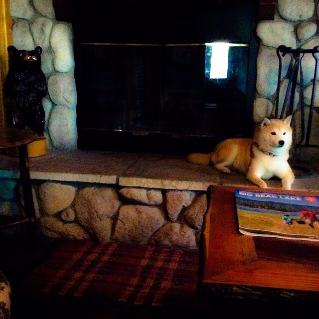 博卡中场横传过多，缺少直塞威胁，博卡vs