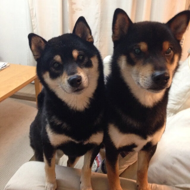 边路传中与中路直塞效率差异是否因对手防线类型决定，边路传中最好的球员