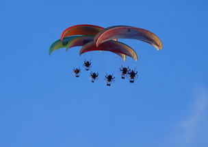 乐鱼体育入口-英超球队结合疲劳评分系统动态分配替补上场时机，英超伤病报告_球员受伤成本逐年攀升