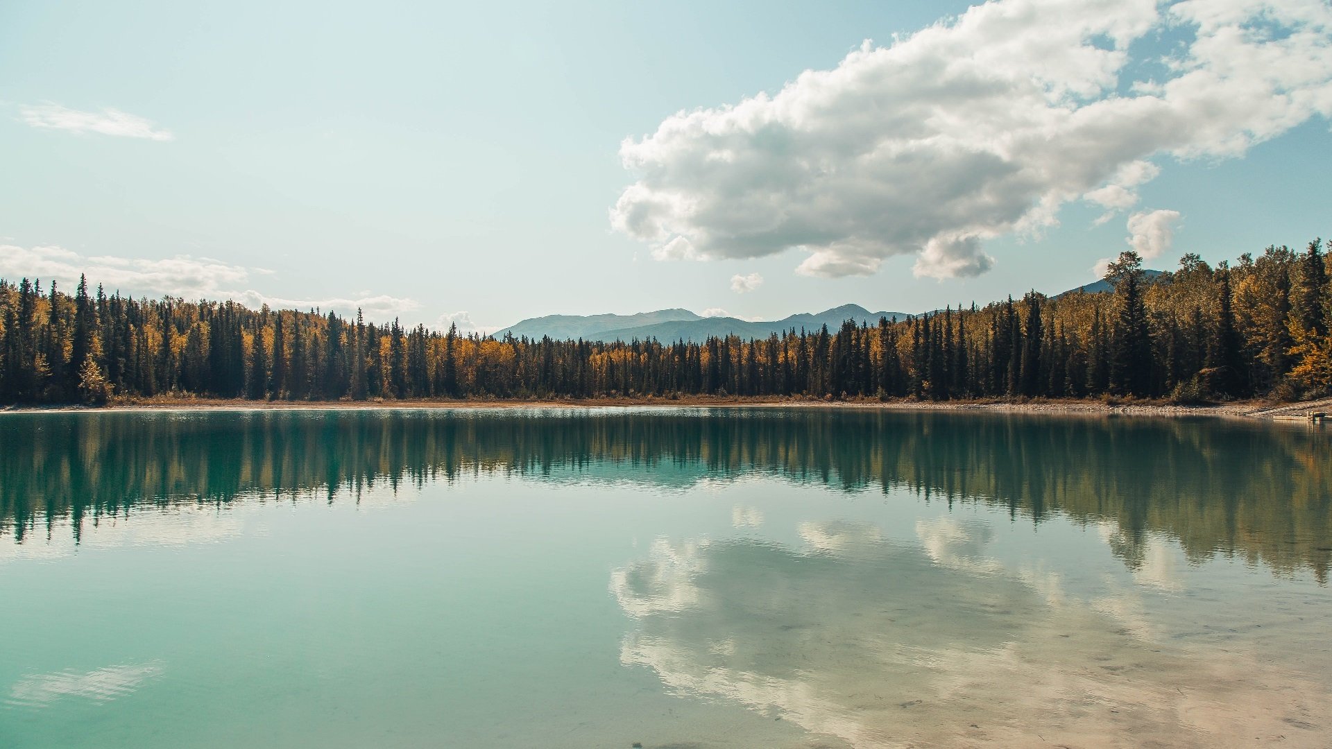 乐鱼app下载-“牛仔3K亲子跑：从香港街头出发，亲子笑声满载”