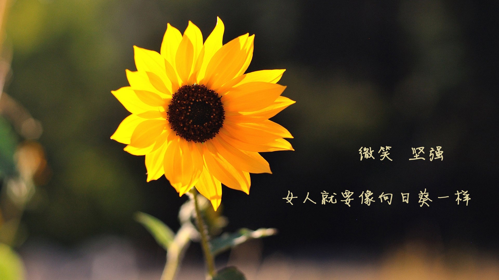 乐鱼体育在线官网-中国男篮重视球员健康管理 提高恢复效率，中国男篮饮食