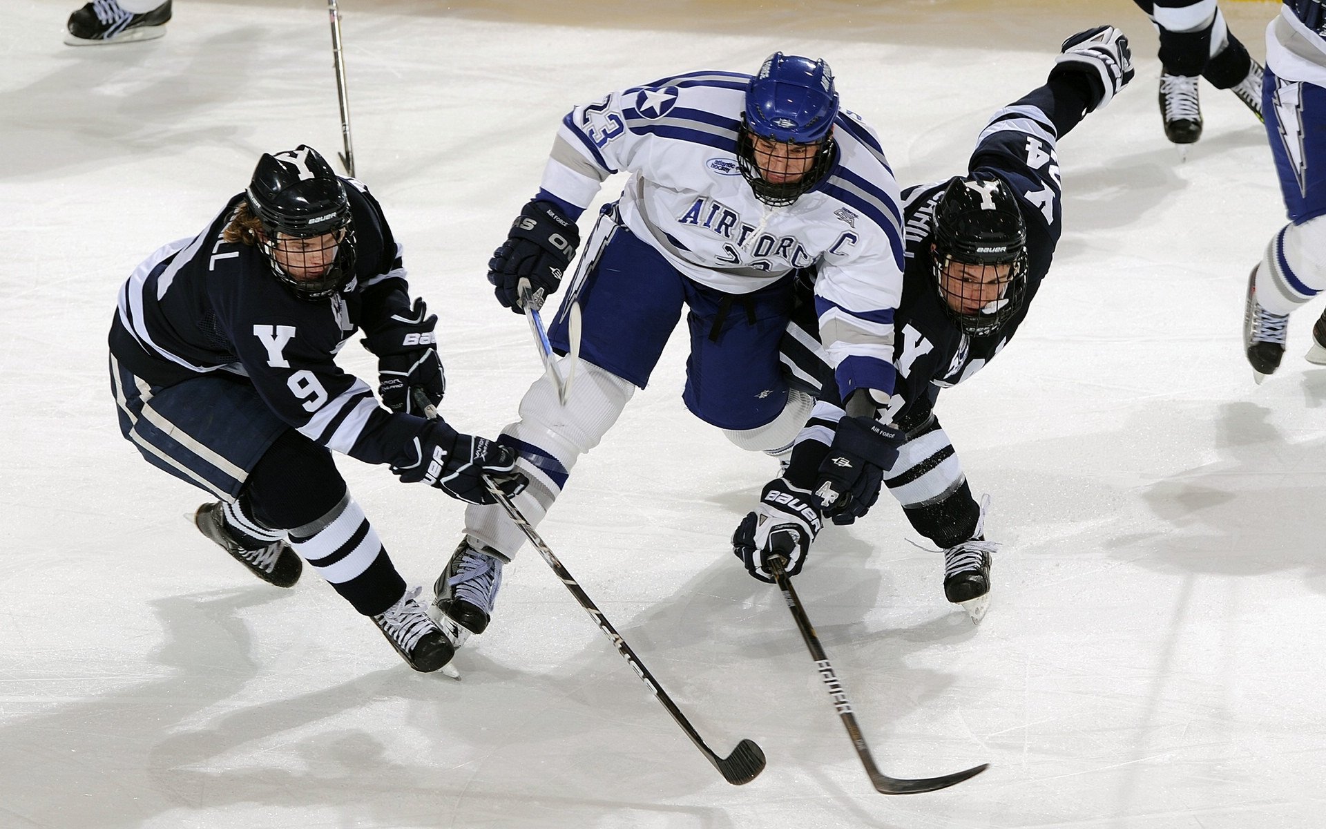 乐鱼体育在线入口-“华金·托比利亚的进攻反击与防守能力，帮助美洲狮队大幅提升竞争力”